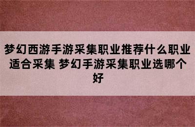 梦幻西游手游采集职业推荐什么职业适合采集 梦幻手游采集职业选哪个好